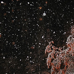 photo "Night snowfall"