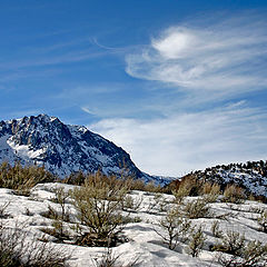 фото "Northerly Winds"