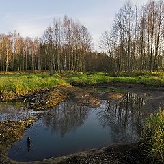 фото "Осень"