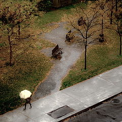 photo "A Walk in the Rain"