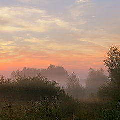 фото "нежные краски июльского утра (2)"