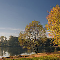 photo "Autumn morning"