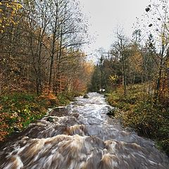 фото "The river Hoegne"