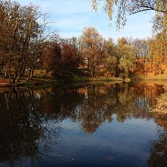 фото "...в самом сердце парка..."