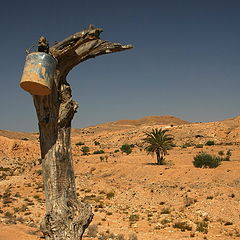 photo "Desert"