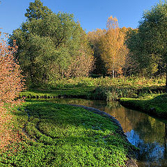 photo "Different colors"