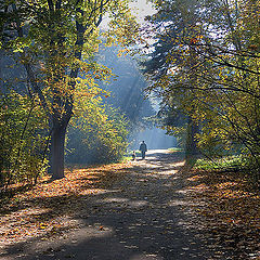 photo "Morning in Kuzminki"