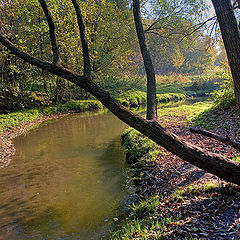 photo "Coast of Churilikha-river"