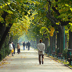 photo "Autumn in the garden / Осень в парке"