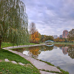 photo "Autumn morning"