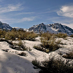 photo "Winter Breeze"