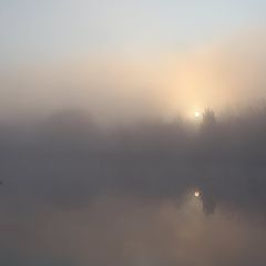 photo "Fishing in the fog"