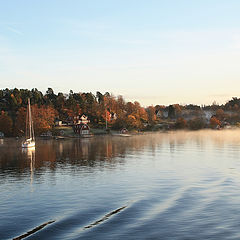 photo "Autumn in Stockholm 2010"