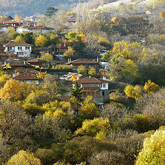 фото "Жеравна"