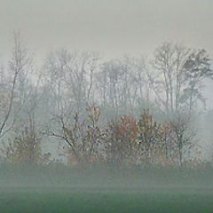 photo "Mystic Autumn"