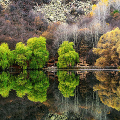 photo "autumn"