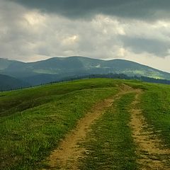 фото "Перед дождем"