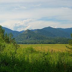 photo "Altay's landscape"