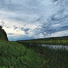 фото "р.Молога"