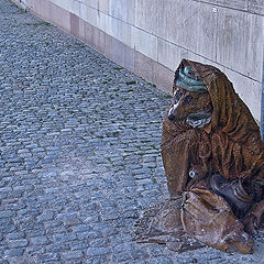 фото "лисичка из Стокгольма"