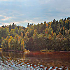 photo "Svir in the September sunshine."