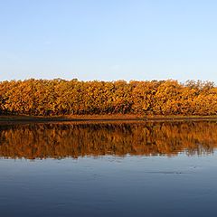 фото "Мост через речку "АВАЧА""