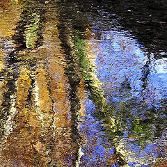 фото "Naturally painted by water"