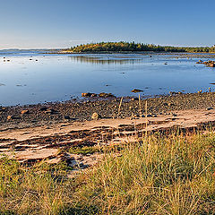 photo "Coast during outflow"