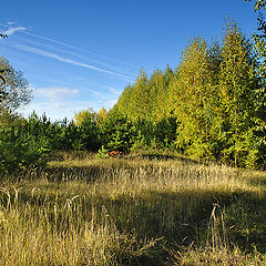 фото "Тропинка"