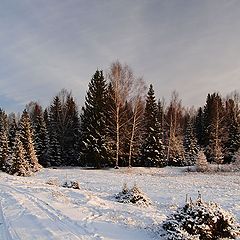 фото "Вечереет ..."