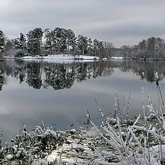 photo "beginning of winter"