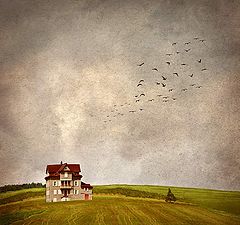 photo "A small house in the prairie"