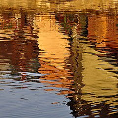 фото "Natural Painting"