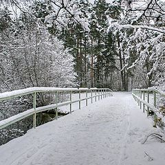 photo "bridge"