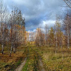 фото "Дорога в осень."