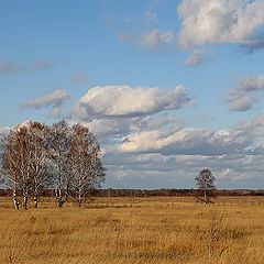 фото "Осенняя."