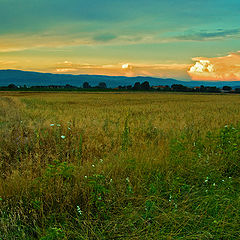 photo "Remembering the summer evenings ..."