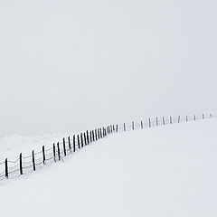 photo "Snowy Landscape"