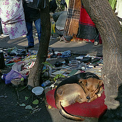 фото "Блошиный рынок"