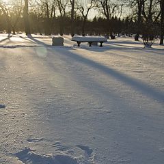 photo "In the Upper Park"