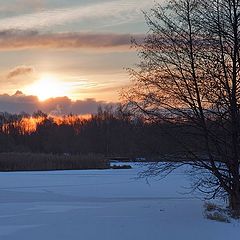 photo "Frosty Dawn"