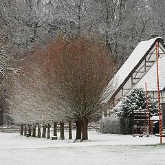 фото "Winter in the village"