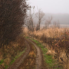 фото "Дорога в позднюю осень"