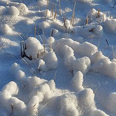 photo "with winter you, my friends!"