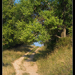 photo "Summer road"