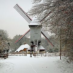 фото "open air museum windmill"