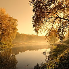 фото "Осенние прогулки II"