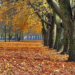 фото "Koenigsberg autumn2"