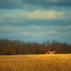 photo "Lone Red Barn"