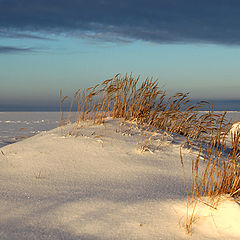 фото "Зимний берег моря"